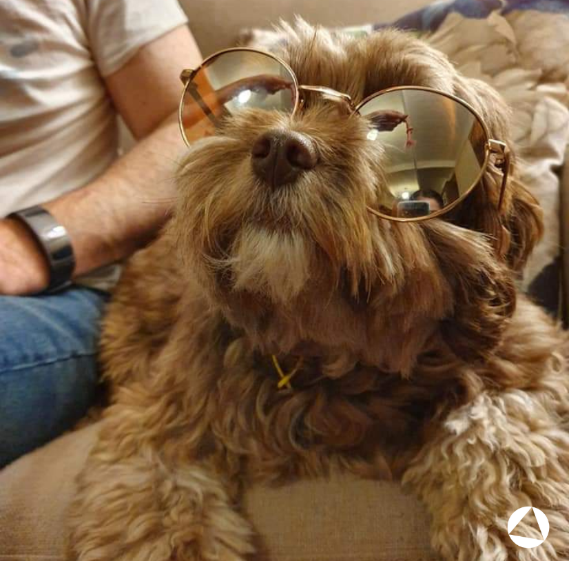 Chewy Chewy
