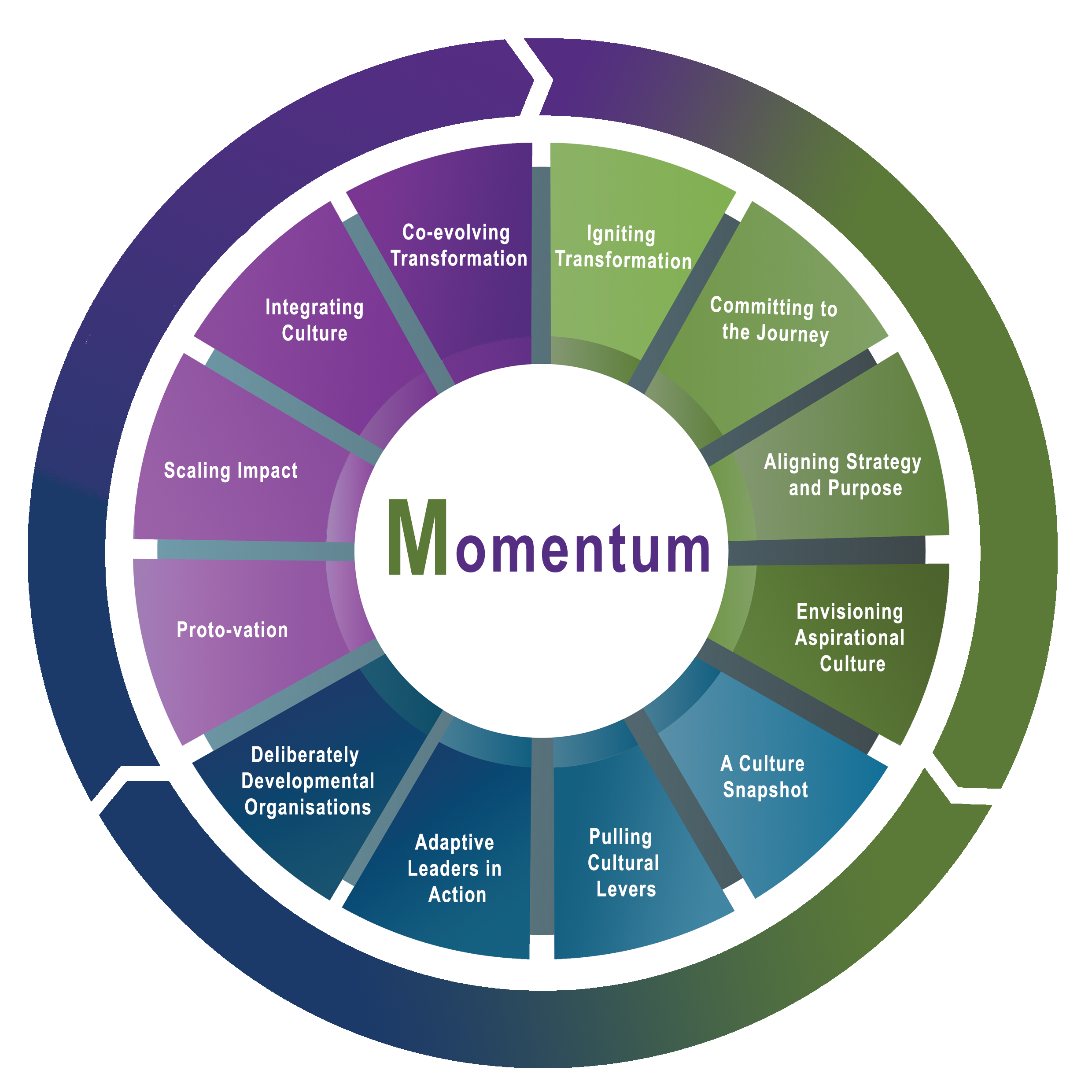 Momentum Series 2021 Version